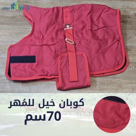 كوبان خيل للمهر